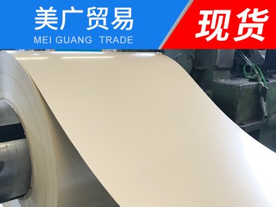 白色彩涂板雙面貼膜 大量供應鍍鋁鋅彩涂板 彩涂鋼卷 現貨批發