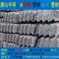 河南新鄉(xiāng)廠家直銷角鋼 津西唐鋼一級(jí)代理多種材質(zhì) 大量庫(kù)存