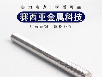 廠家直銷 304不銹鋼絲桿 不銹鋼牙條不銹鋼全牙螺桿螺棒 經久耐用