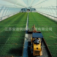 供應(yīng)鋼結(jié)構(gòu)網(wǎng)架連棟溫室大棚，廠家直接供貨