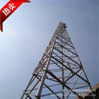 廠家供應(yīng)GJT鋼管避雷針?biāo)?避雷塔 角鋼避雷塔