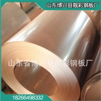 廠家特供耐腐蝕無花鍍鋅板 環(huán)保帶花保溫鍍鋅鐵皮卷