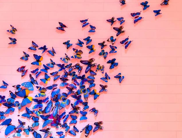 微信截圖_20200509105134