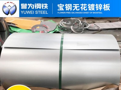 廠家鍍鋅板卷 電解板白鐵皮 寶鋼無花鍍鋅板現(xiàn)貨鍍鋅鋼板熱鍍鋅