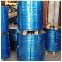 專業(yè)銷售不銹鋼精密帶不銹鋼精密鋼帶 不銹鋼彈簧帶 中硬帶