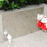 不銹鋼樣板304BA樣板1.5（1.48）*200*300 規格多樣廠家直銷