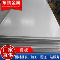 現(xiàn)貨供應(yīng)熱軋鋼板可定制加工規(guī)格齊全量大從優(yōu) 鋼板 不銹鋼鋼板