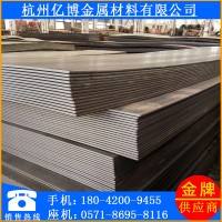 浙江 杭州廠家批發直銷熱軋板卷 開平板 熱軋薄鋼板 q235開平板