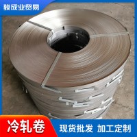 佛山現(xiàn)貨供應(yīng)SGCC精準(zhǔn)平直冷軋卷 dc04冷軋鋼帶廠家