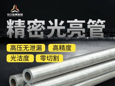 廠家直銷10#無縫精密管 10號小口徑精密管油路管可定制量大優惠