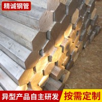 廠家批發 標準無縫異型鋼 小尺寸精密異型鋼 不銹鋼異型管定制