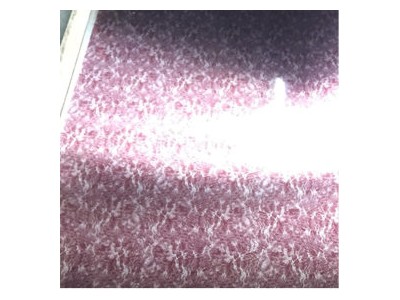 冷軋板 304 金豐源