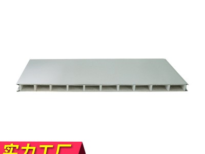 江蘇中空玻鎂夾芯板 中空玻鎂凈化板 凈化車間吊頂中空玻鎂凈化板