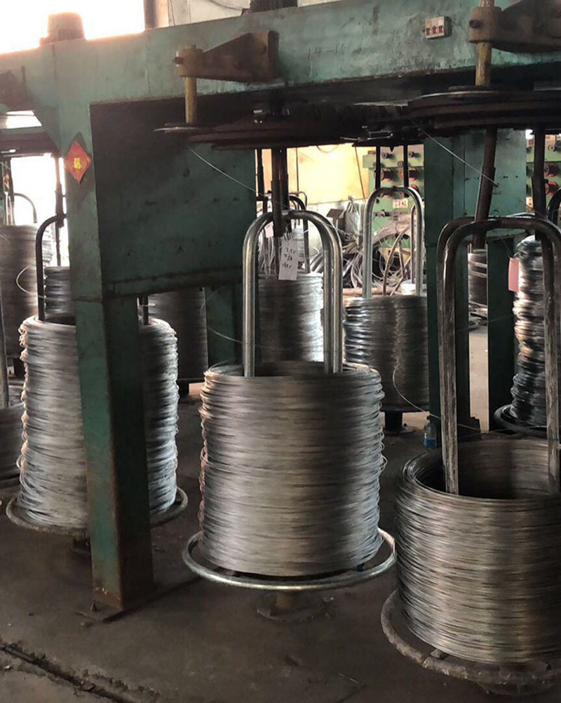 3885349540_329515376