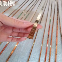 304不銹鋼鈦金實心T型條一體式型裝飾條門邊裝飾線條拉絲玫瑰金T6