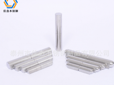 不銹鋼水滴形門軸 供應304 合頁鉸鏈 不銹鋼扇形門軸