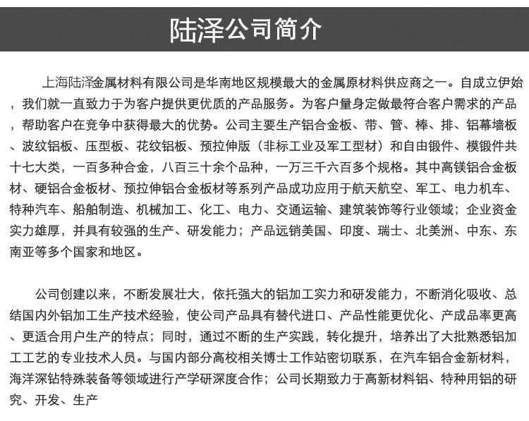 陸澤公司簡介  13