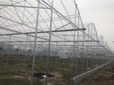 銷售各種型號包塑鍍鋅管 大棚管? 可加工折彎縮頭免費提供圖紙