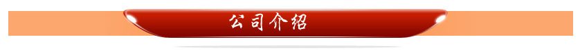 公司簡介