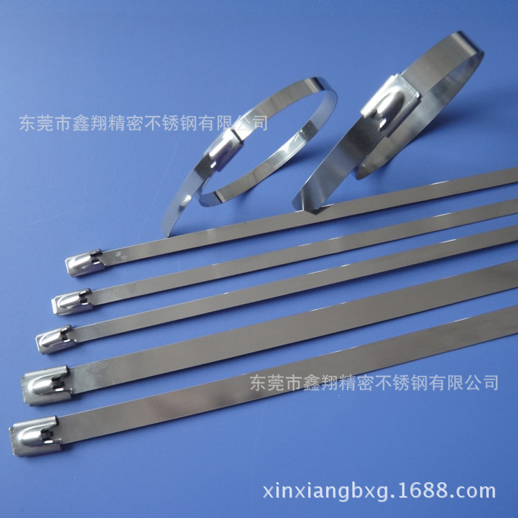不銹鋼扎帶