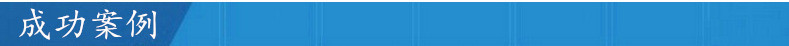 成功案例