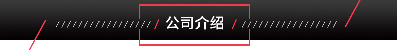 公司介紹