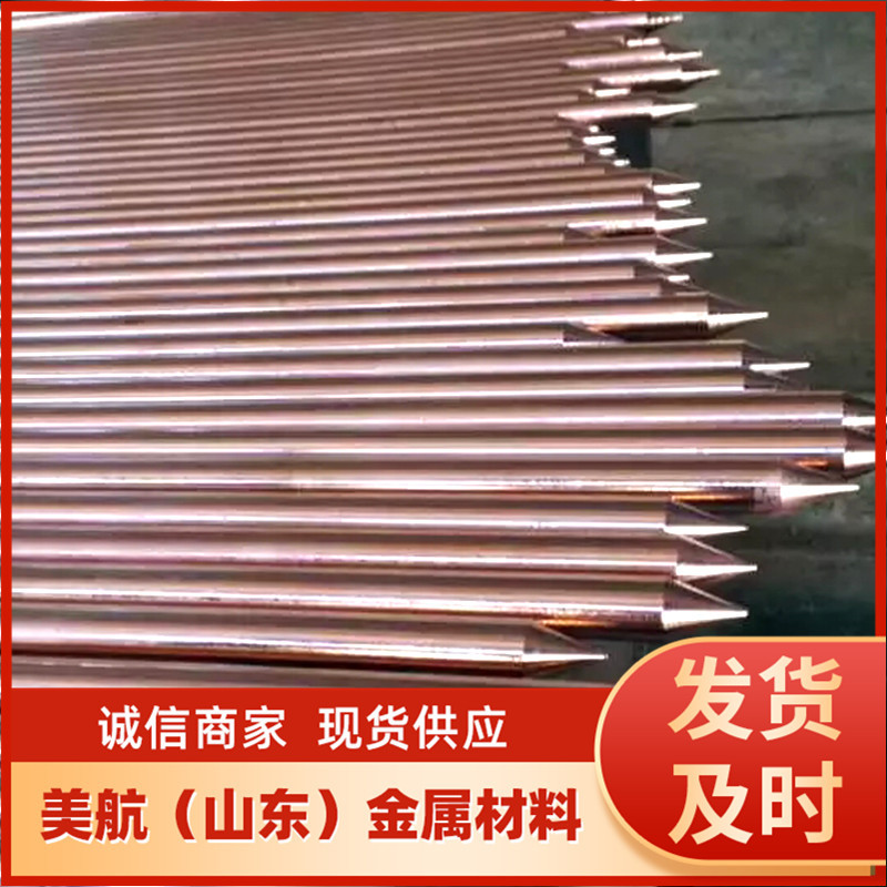 鍍銅接地棒 (2) 拷貝.jpg