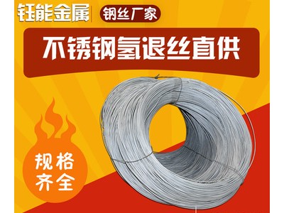 定制不銹鋼絲304不銹鋼電解線光亮軟絲中硬線不銹鋼焊絲