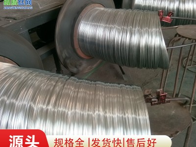 廠家批發0.45mm 0.5mm 0.55mm口罩鼻梁絲 不銹鋼絲 口罩鍍鋅鐵絲