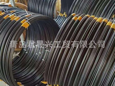 包塑鋼絲涂塑鋼絲 自伸直拉桿涂塑鋼絲 各結(jié)構(gòu)直徑廠家貨源