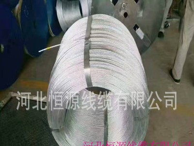 廠家直銷 熱鍍鋅鋼絲 鋼絞線