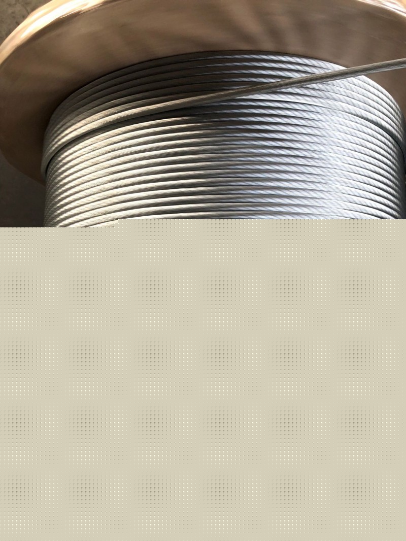 10186000403_1561362615