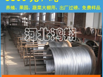 供應(yīng)鋁絞線用鍍鋅鋼絲/熱鍍鋅鋼絲/鋼絲直徑1.4mm-3.8mm