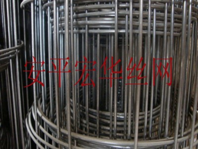 外墻專用熱鍍鋅電焊網 工地用建筑防護網 電焊鐵絲網