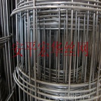 外墻專用熱鍍鋅電焊網(wǎng) 工地用建筑防護網(wǎng) 電焊鐵絲網(wǎng)