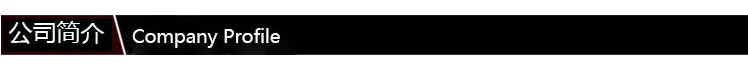 公司簡介