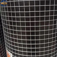 廠家現貨供應鍍鋅電焊網建筑用外墻保溫抹墻用鐵絲電焊網