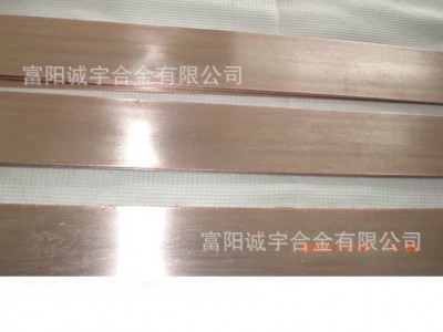 廠家直銷供應耐腐蝕銅鎳8NC012銅皮加工