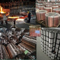 正負(fù)極柱 銅負(fù)極極柱電池端子用紅銅桿 交貨及時(shí)