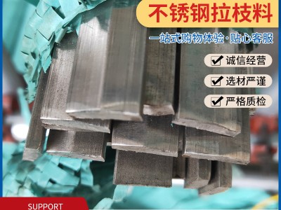 廠家直發(fā)不銹鋼異型材 304不銹鋼扁條 拉枝料批發(fā) 規(guī)格齊全