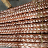 現貨供應新能源汽車大電流連接器專用C14500碲銅棒易車削導電銅棒