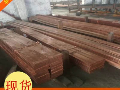 批發定制紫銅排 鍍錫銅排 接地銅母線 紫銅板 紫銅帶 品質保障