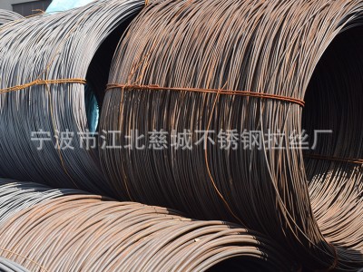 3CR13不銹鋼冷墩彈簧線 sus420j2草酸冷墩螺絲線材 耐高溫線材