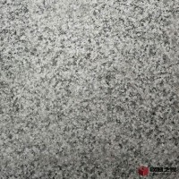 玖磊芝麻黑板材 花崗巖芝麻黑板材規(guī)格加工荔枝面黑色板材價格