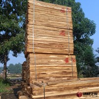 春雨槐木     槐木板材     槐木烘干板材     槐木板材廠家 槐木板材
