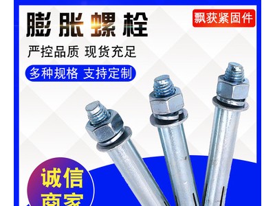 現貨供應國標碳鋼鍍鋅大小頭膨脹螺絲 拉爆加長膨脹螺栓M6-M24