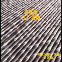 廠家直供不銹鋼異型管不銹鋼竹節管銅管竹節管32竹節管