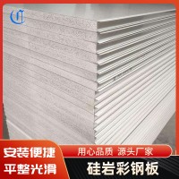 硅巖彩鋼板 防火硅巖夾芯板 硅巖彩鋼板 凈化硅巖夾芯室內(nèi)板