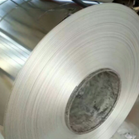 山東博興防銹耐腐蝕彩鋁板 彩涂鋁卷切割開平定做 鋁鎂錳彩鋁卷