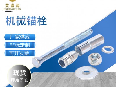 機械錨栓 304 316不銹鋼化學錨栓 械錨栓 后擴式錨栓